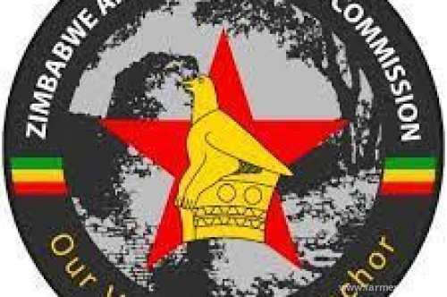 What happened to the Mbare biogas project